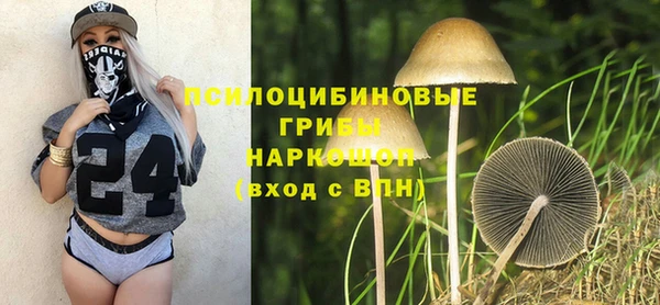 первитин Богданович