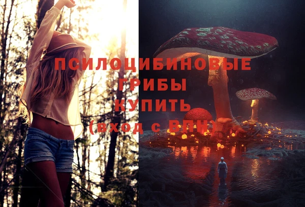 первитин Богданович