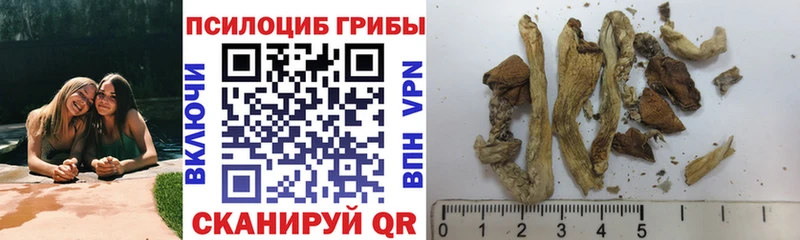 Псилоцибиновые грибы мицелий  hydra онион  Нижний Тагил  закладка 